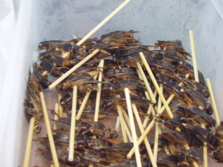 Illustration for article titled Fried Scorpion? Osaka Restaurant Serves Up Unusual Eats